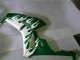 2006-2007 Honda CBR1000RR Motorcycle Fairings - White Green Flame Canada