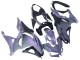 2024-2026 Kawasaki Ninja 500 EX500R Motorcycle Fairings - Chameleon Grey Dazz Pearl Purple Canada