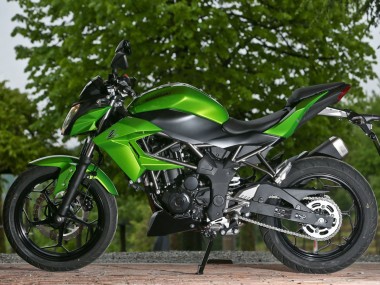 Cheap 2015-2016 Kawasaki Z250/Z300 Motorcycle Fairings - Green Matte Black Canada