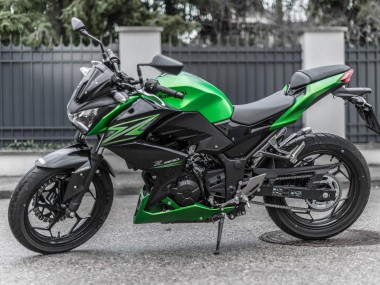 Cheap 2015-2016 Kawasaki Z250/Z300 Motorcycle Fairing Kits - Green Matte Black Canada