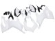 2020-2024 Ducati Panigale V2 Motorcycle Fairings - Unpainted Canada