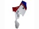 2005-2010 BMW K1200S Abs Fairings - White Red Blue Canada