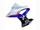 2017-2018 BMW S1000RR Bike Fairings - White Blue Red Glossy Black Canada
