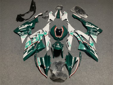 Cheap 2017-2018 BMW S1000RR Motorcycle Fairings - White Green Canada