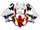 1998-1999 Honda CBR900RR 919 Motorcycle Fairings - White Red Yellow Blue Canada