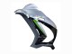 2016-2020 Kawasaki ZX10R Motorcycle Fairing - Silver Green Black Canada