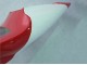 1998-1999 Yamaha YZF 1000 R1 Motorcycle Fairings - Red White Black Dunlop Canada