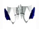 2006-2007 Yamaha YZF 600 R6 Motorcycle Fairings - White Blue Jordan Canada